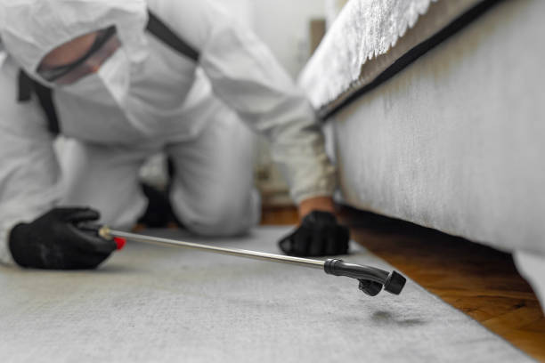 Professional Bed Bug Control technician working in Red Bud, IL