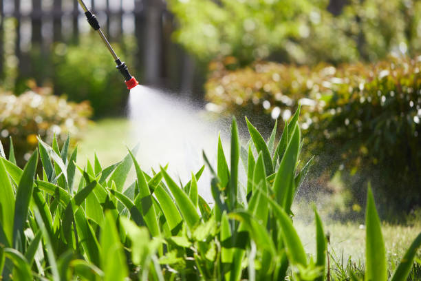 24/7 Emergency Bed Bug Control experts in Red Bud, IL